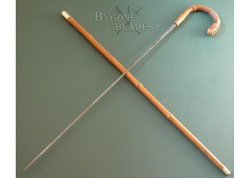 British 19th Century Bamboo Root-Ball Sword Cane. Solingen Blade #2
