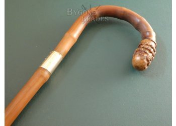 British 19th Century Bamboo Root-Ball Sword Cane. Solingen Blade #5